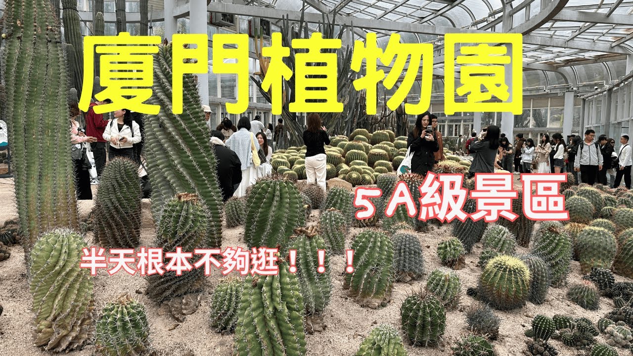 厦門 Citywalk part3《漫步廈門植物園｜超級長電扶梯爬山｜藏在城市裡的綠色奇幻世界》