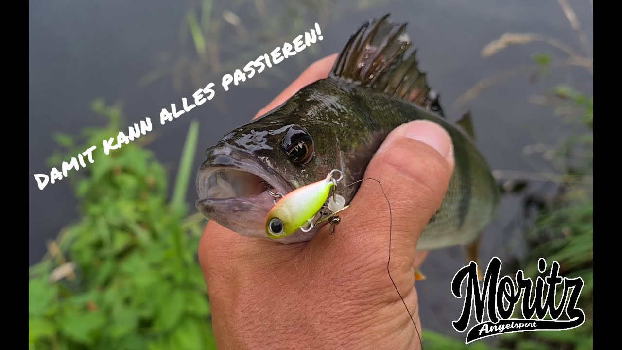 Dieser Jig Spinner ist klasse!