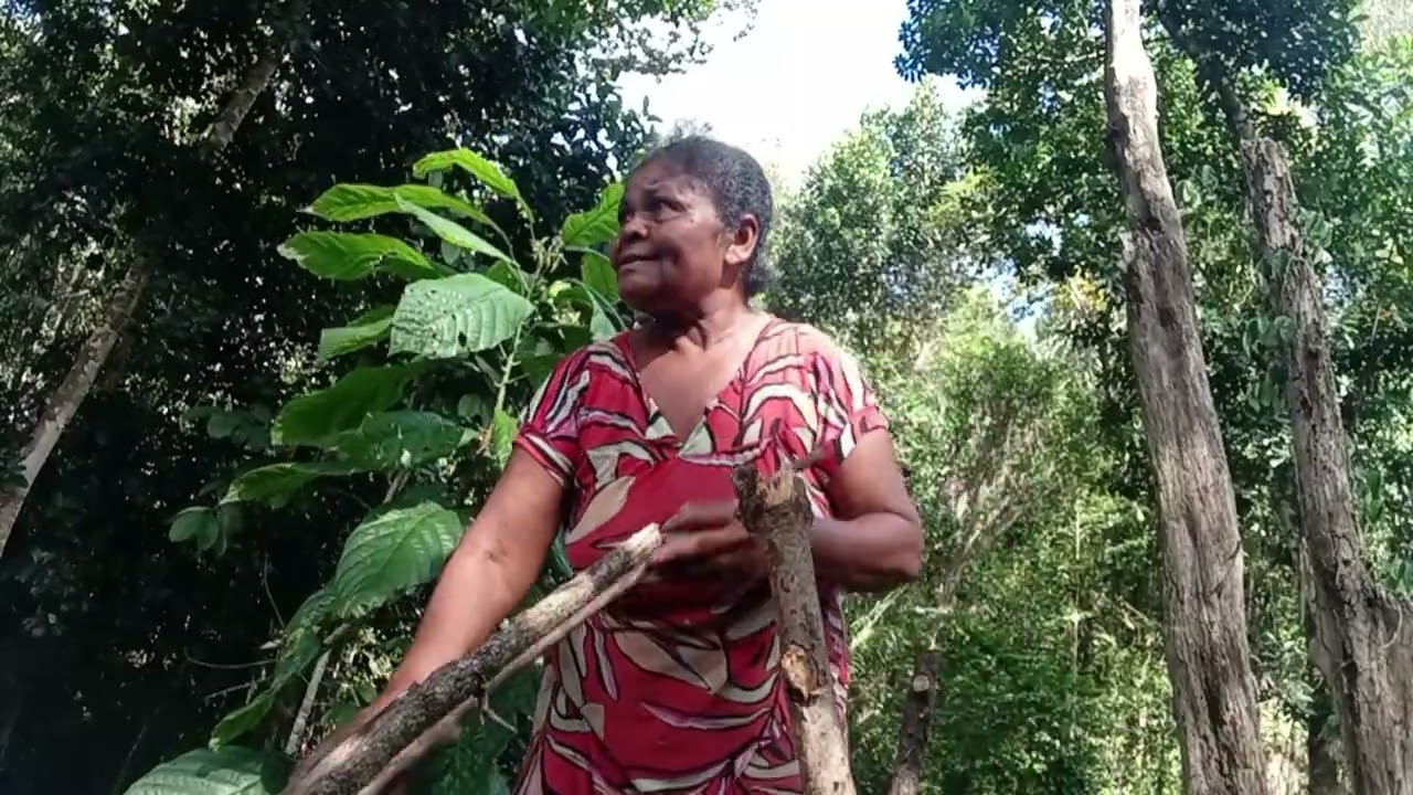 LIMPANDO MINHA ROÇA QUE COMPRE