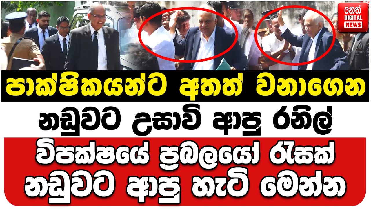 පාක්ෂිකයන්ට අතත් වනාගෙන නඩුවට උසාවි ආපු රනිල් | විපක්ෂයේ ප්‍රබලයෝ රැසක් නඩුවට ආපු හැටි මෙන්න