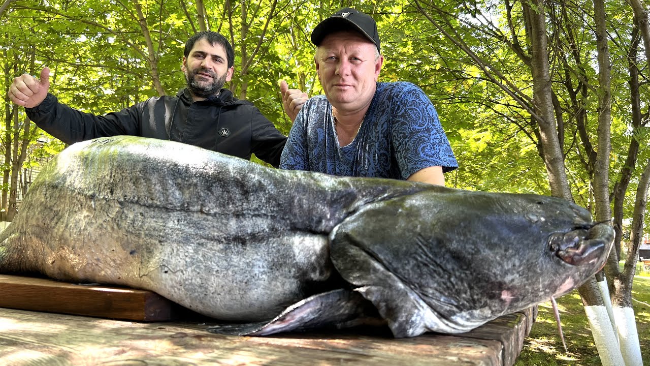 РЫБА И МЯСО ! НЕВЕРОЯТНЫЕ ВКУСОВЫЕ КАЧЕСТВА ЛЕТНЕГО ШАШЛЫКА #шашлык #рыба #мясо