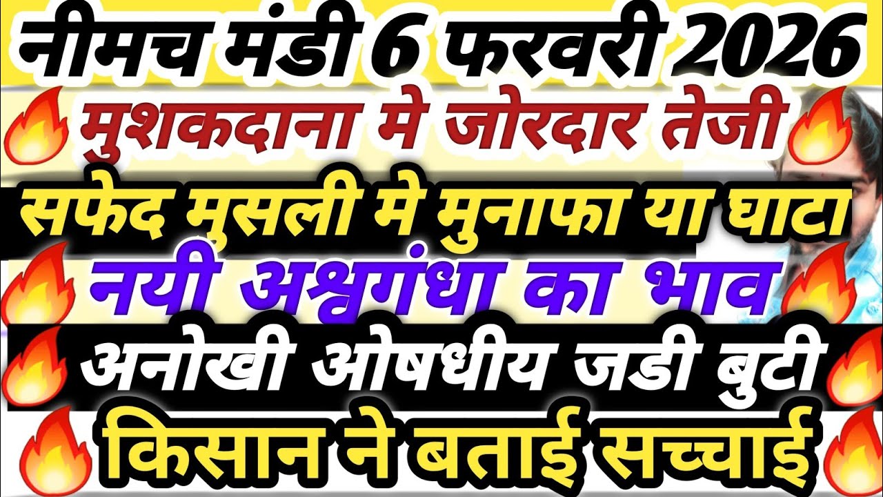 नीमच मंडी भाव। औषधी भाव। अश्वगंधा भाव। Neemuch Mandi bhav aushdhi bhav, ashwagandha bhav neemuch 