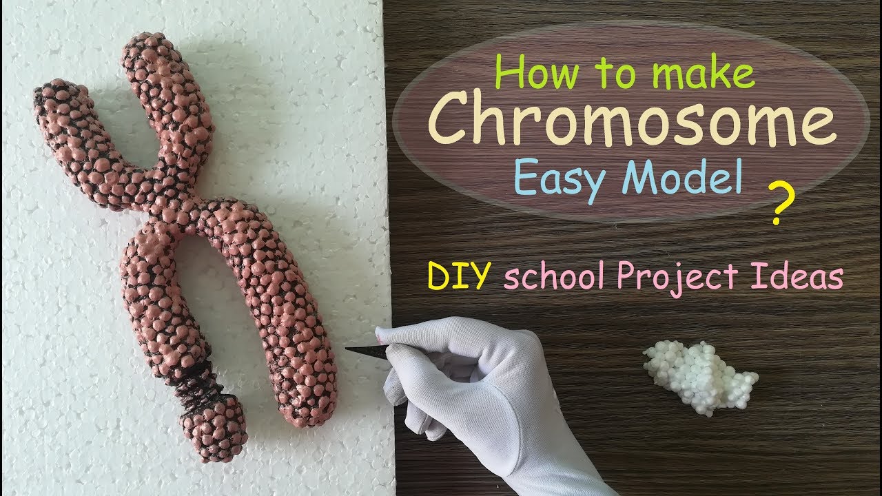 Making Chromosome Model | Styrofoam Carving | Holiday Homework