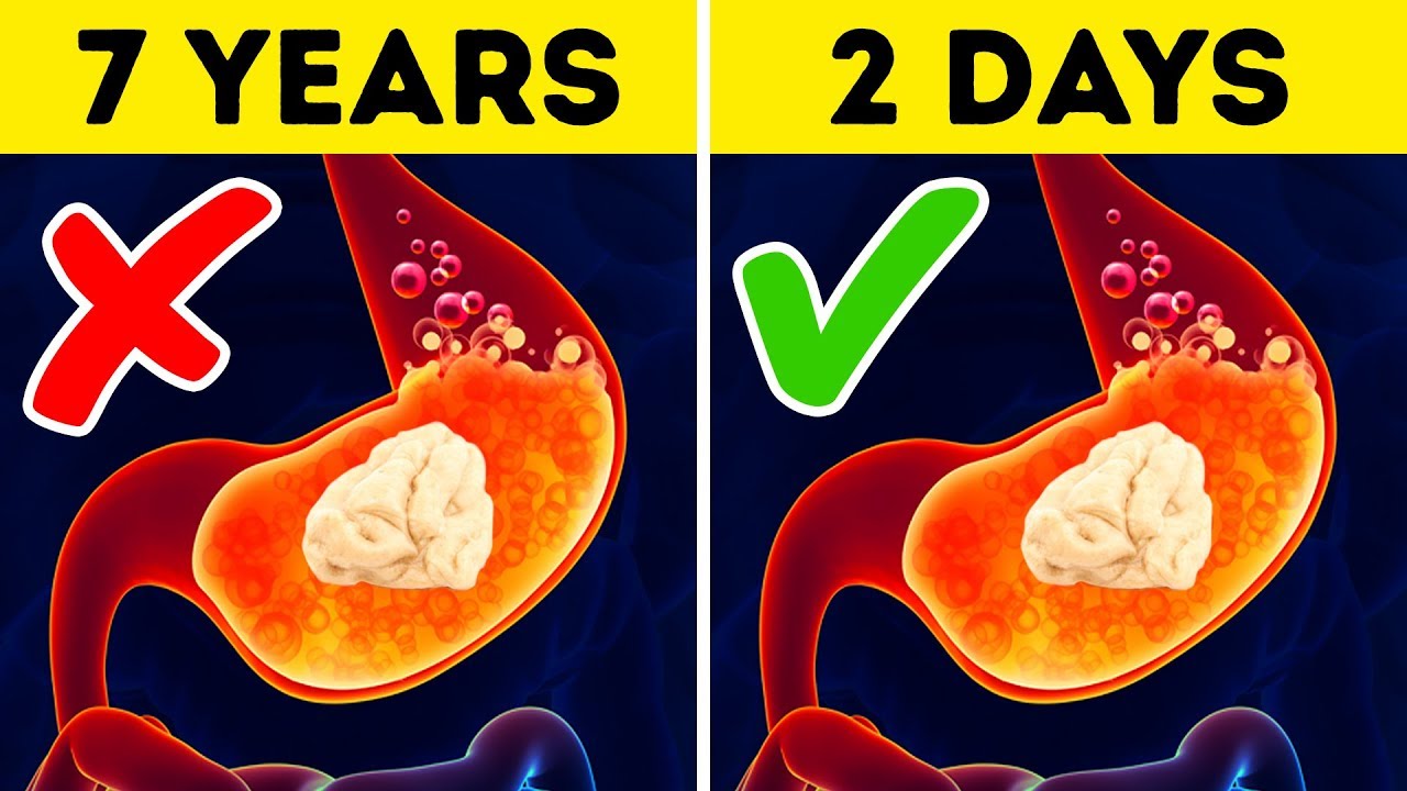 What Happens In Your Body When You Swallow Gum