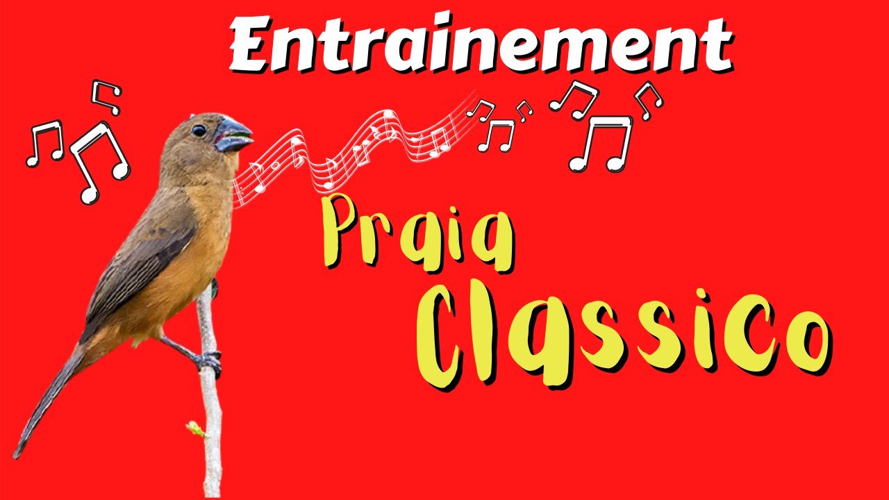 Entrainement Praia classico