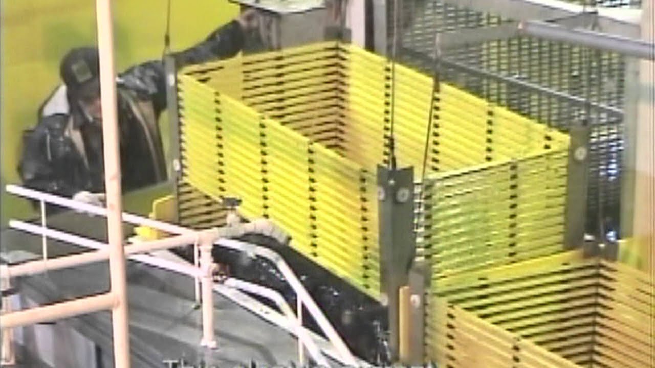 Hydropower Fisheries