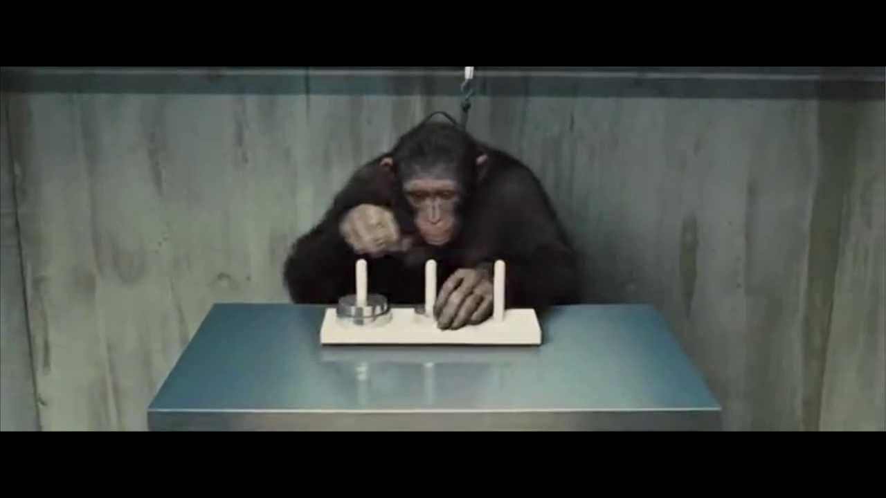 Lucas Tower - Rise of the planet of the Apes
