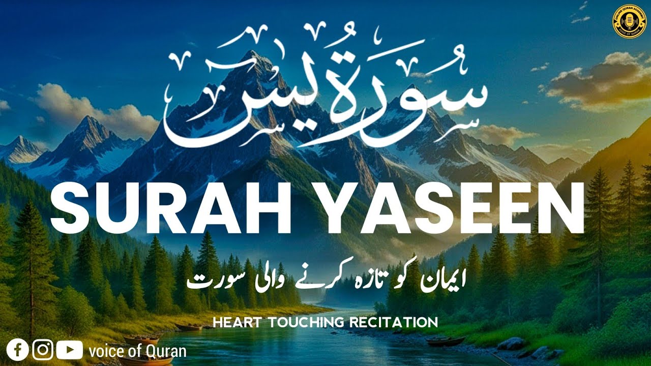 Surah Yasin | سورۃ یسین | The Divine Words that bring tears to the eyes.#islamicvideo #quransurah 
