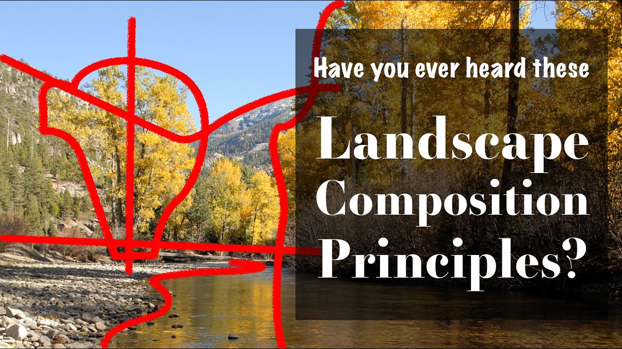 Have You Ever Heard These Landscape Composition Principles?