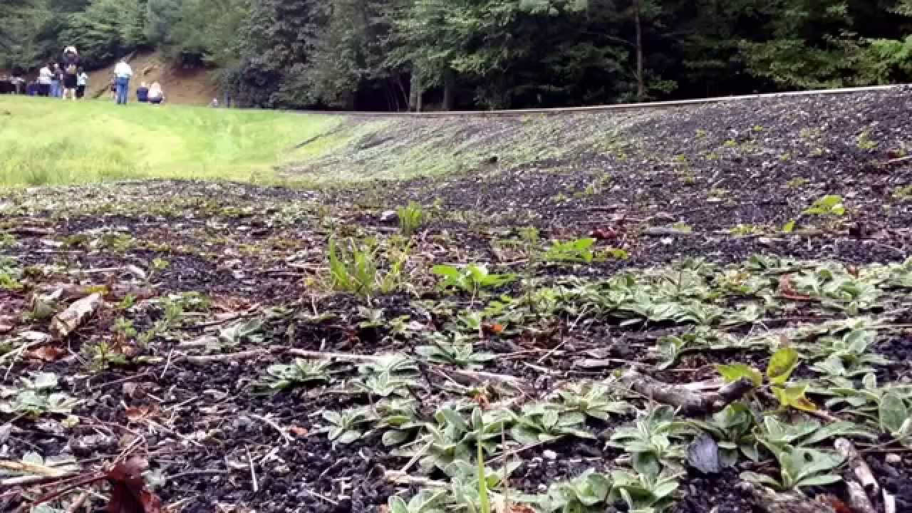 Tweetsie Railroad heritage weekend 2014 part 2