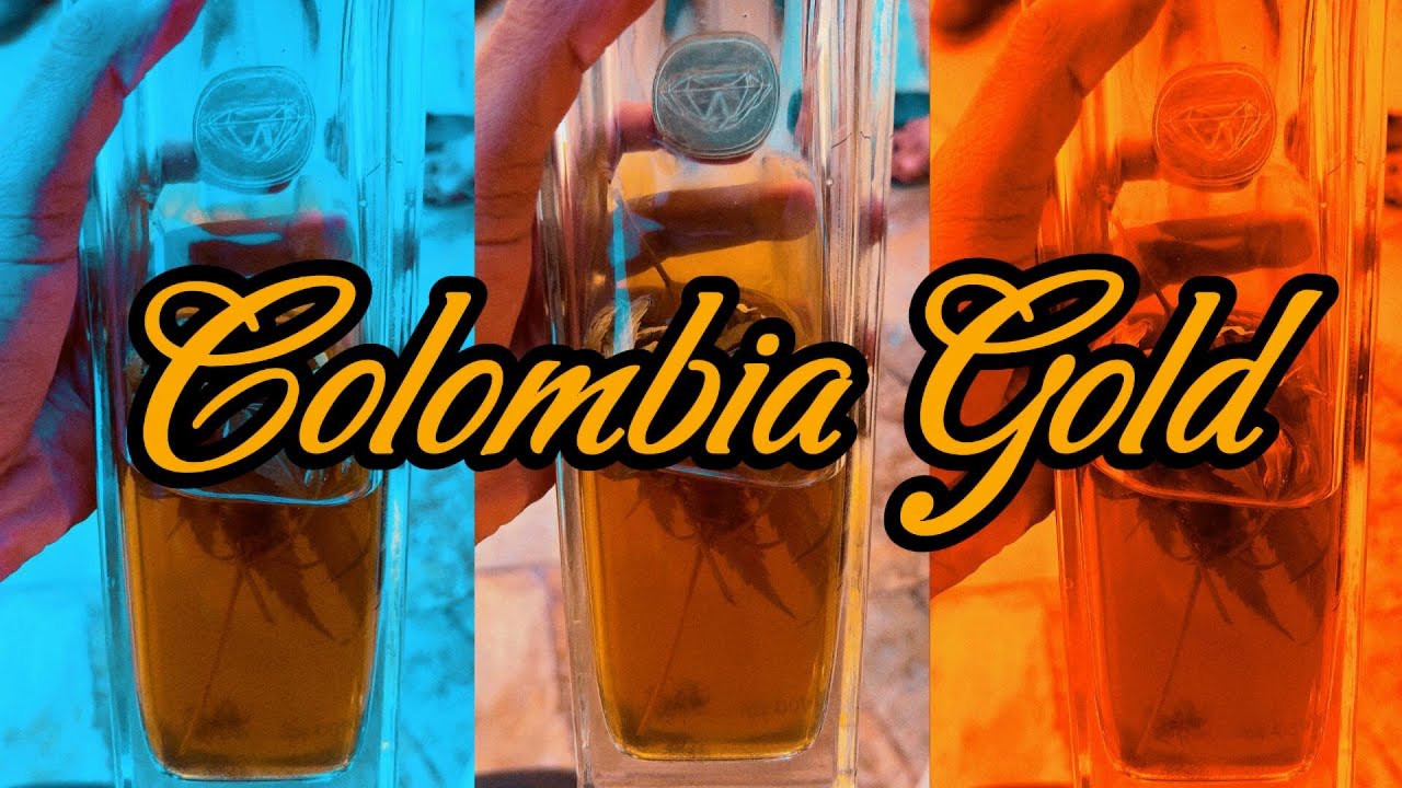 GANGLIFE13 - COLOMBIA GOLD [PROD. STGTHC]