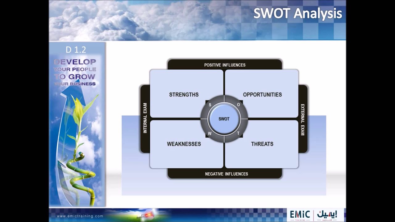 D 1.2 SWOT Analysis