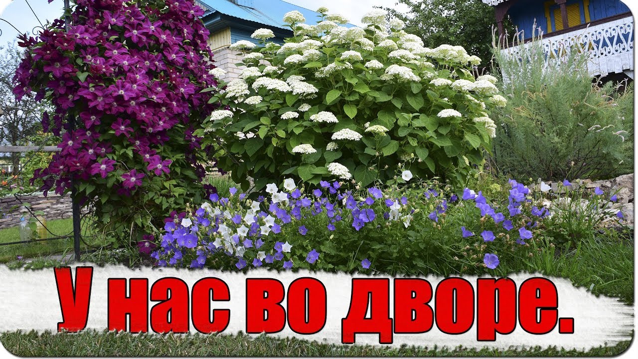 У нас во дворе. / холодная ковка / ландшафтный дизайн ( влог №36 )