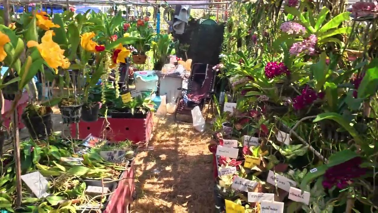 Khon Kaen Garden Show