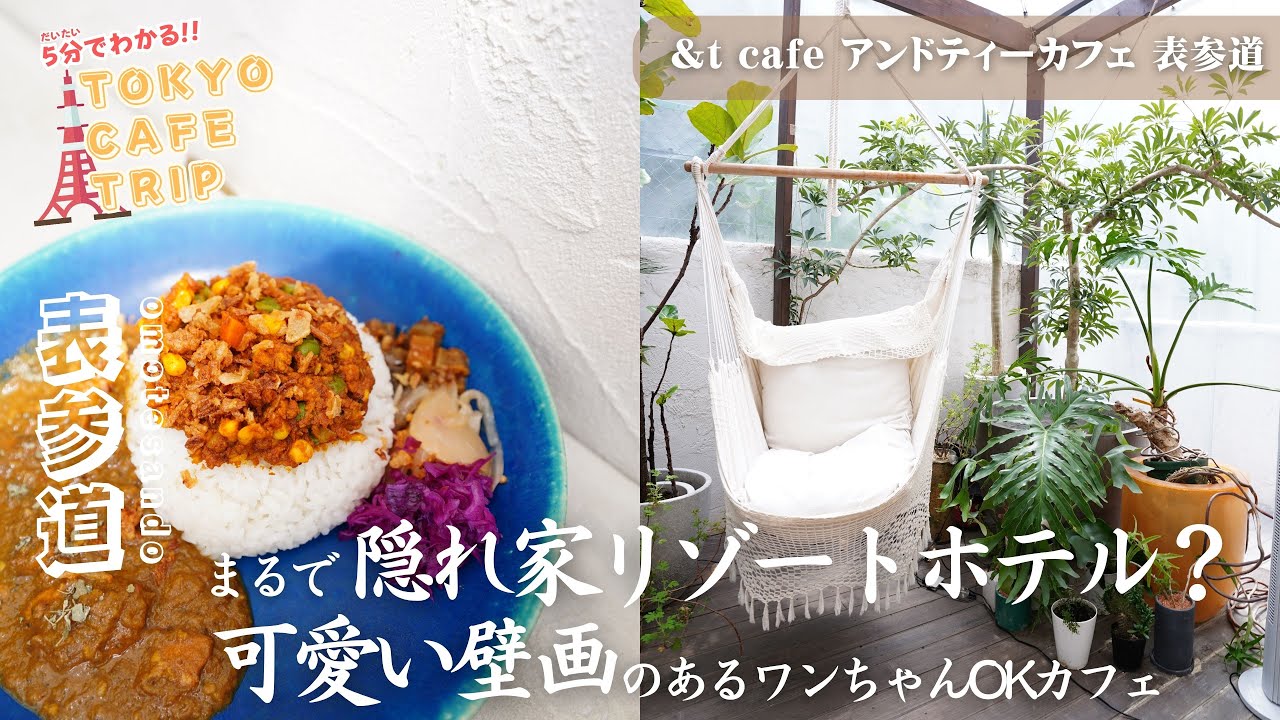 【#表参道 #東京カフェ巡り 】&t cafe アンドティーカフェ 表参道　【vlog / 4k】５分で分かる！