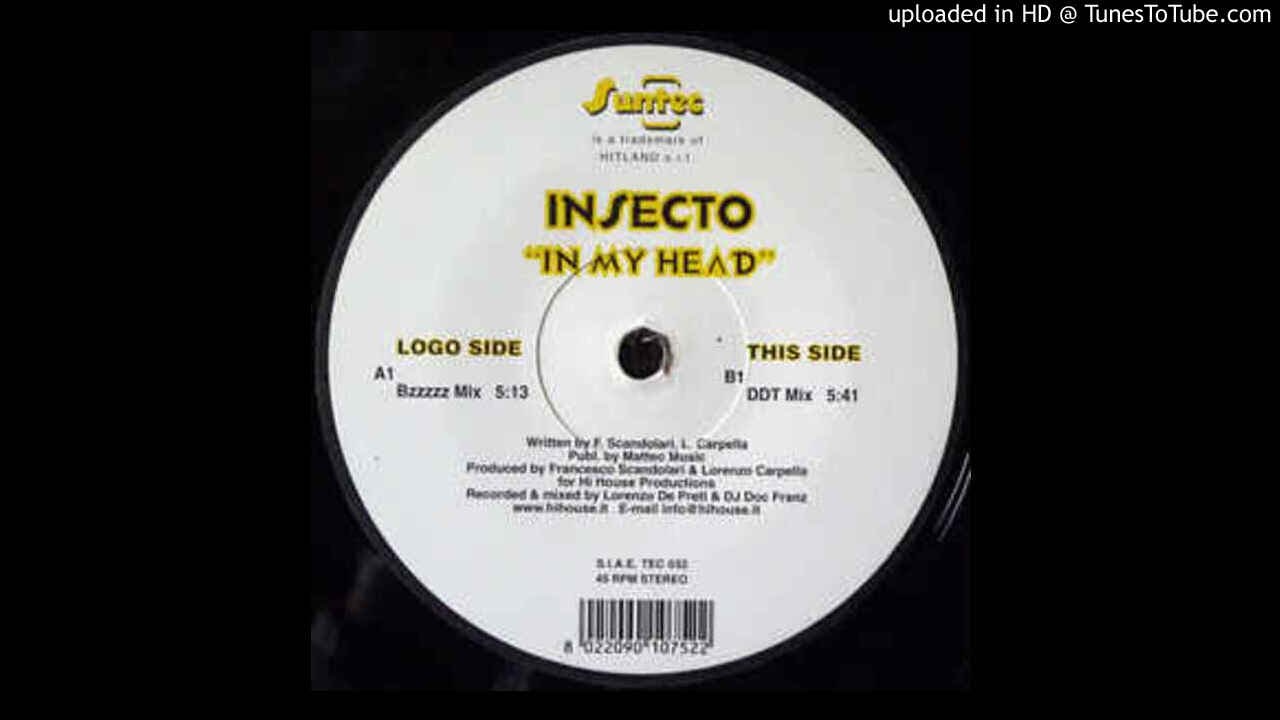 Insecto - In My Head