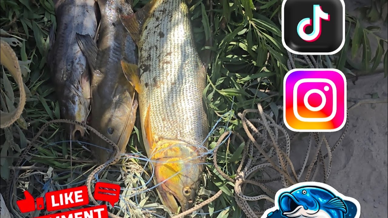 Pesca en el Rio Lavayen ... Rancho don Dionicio ( Huaita )👌🎣