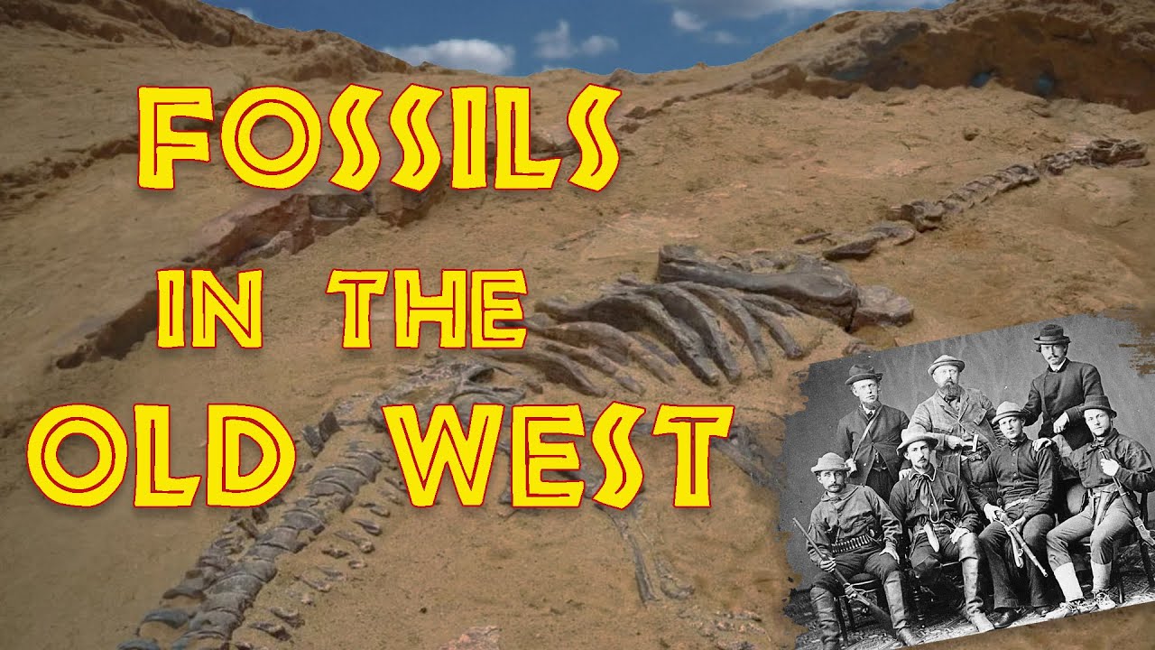 Fossils in the Old West!