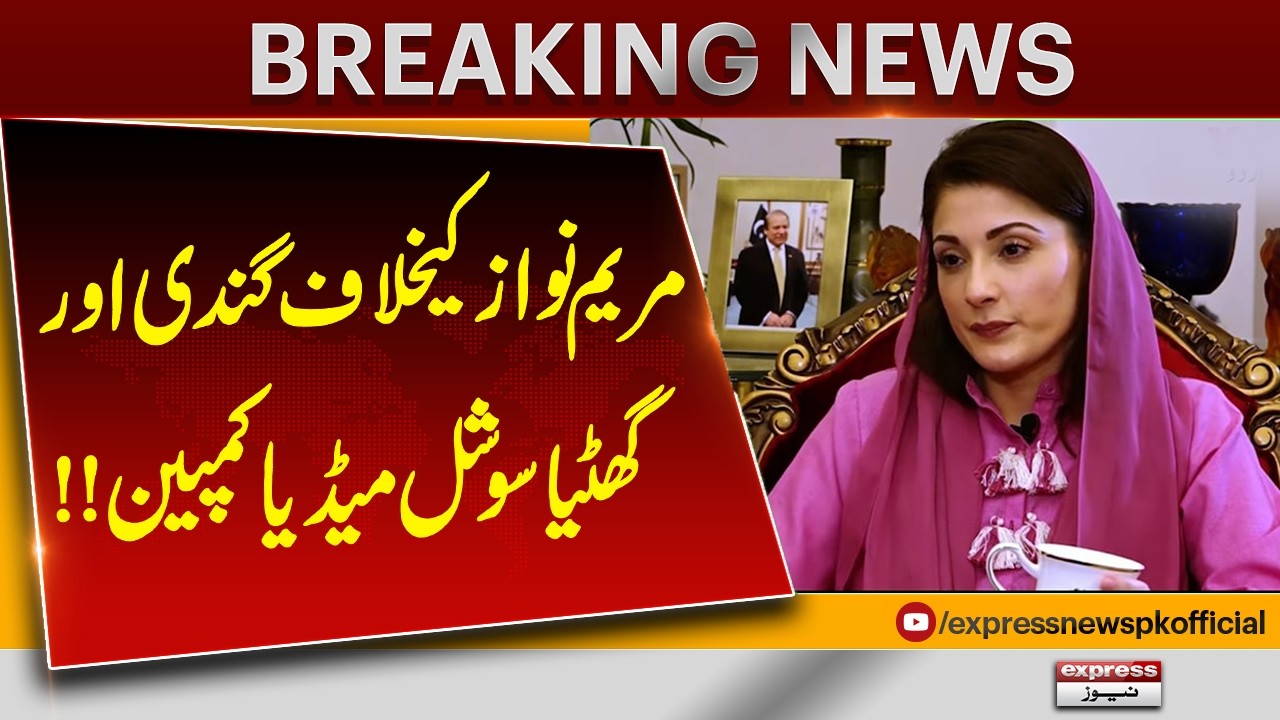 Dirty Social Media Campaign Against Maryam Nawaz Exposed | Pakistan News