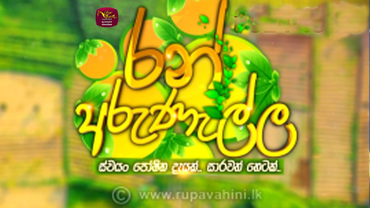 Ran Arunalla | 2026-01-24 | Rupavahini