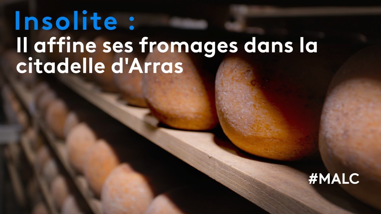 Insolite : il affine son fromage dans la citadelle d'Arras