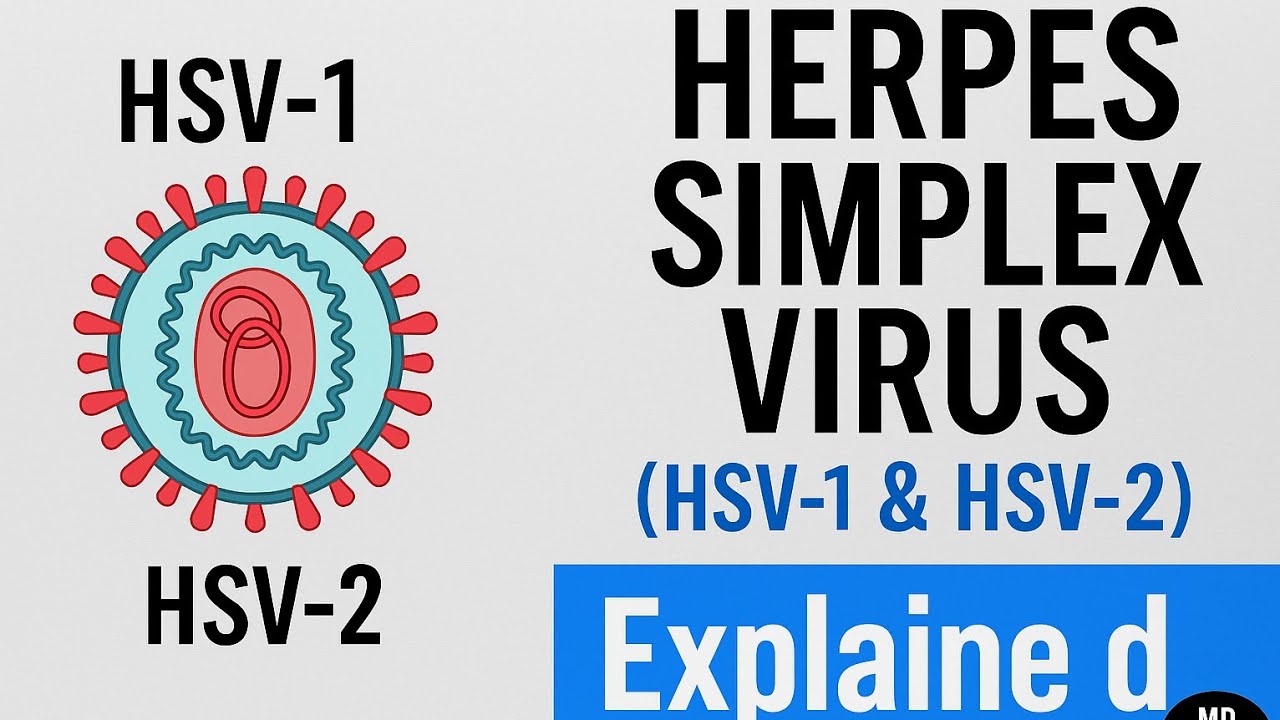 Herpes Simplex Virus (HSV-1 & HSV-2) Explained | Symptoms, Transmission & Treatment | MD Talk