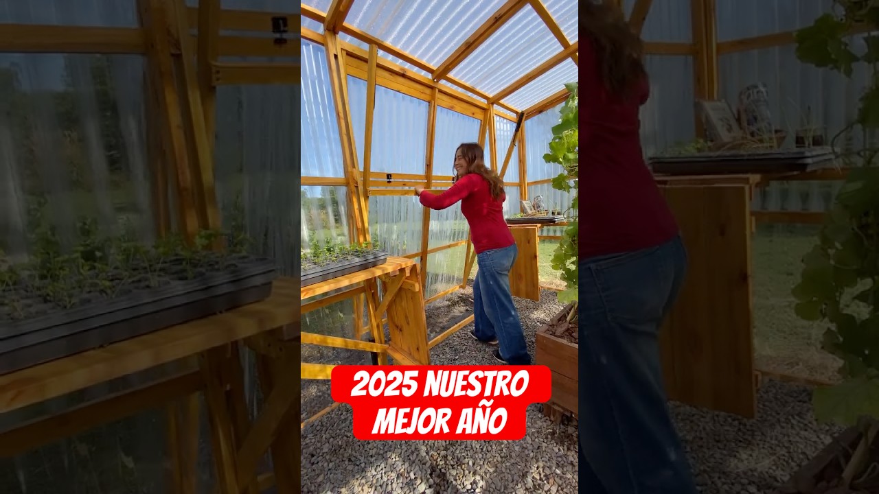 Emprendimiento Exitoso en Argentina !