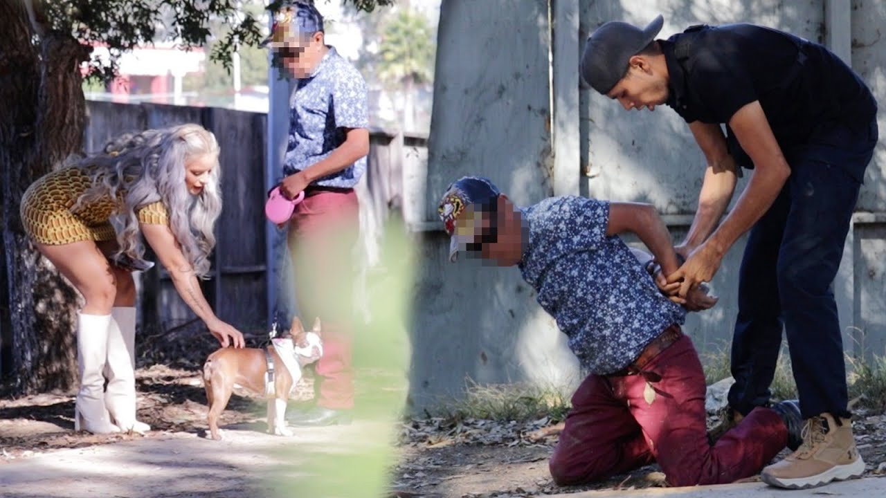 Vendía perros robados. Lo metemos a la carcel