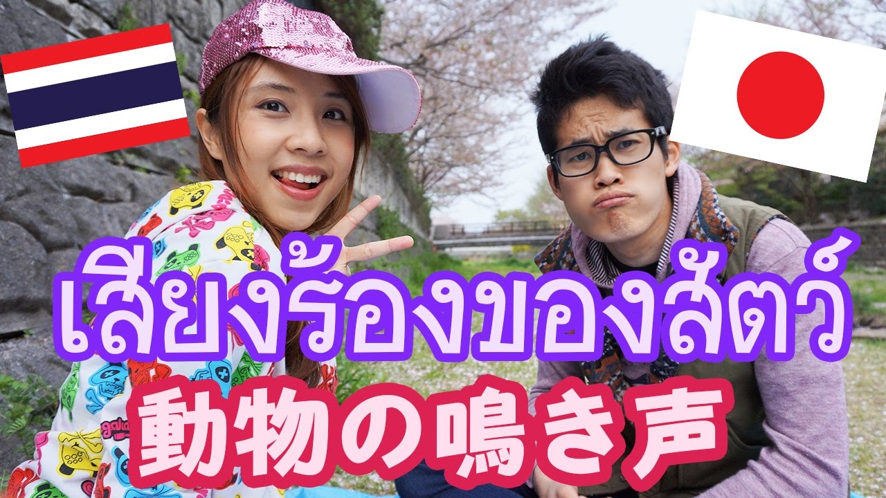 เสียงร้องของสัตว์ในภาษาไทย-ญี่ปุ่น !　日-タイの動物の鳴き声！