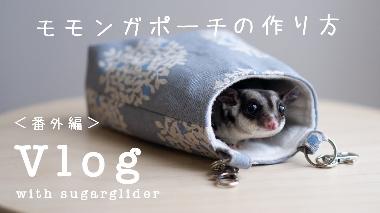 番外編【フクロモモンガのいる暮らし】モモンガポーチの作り方