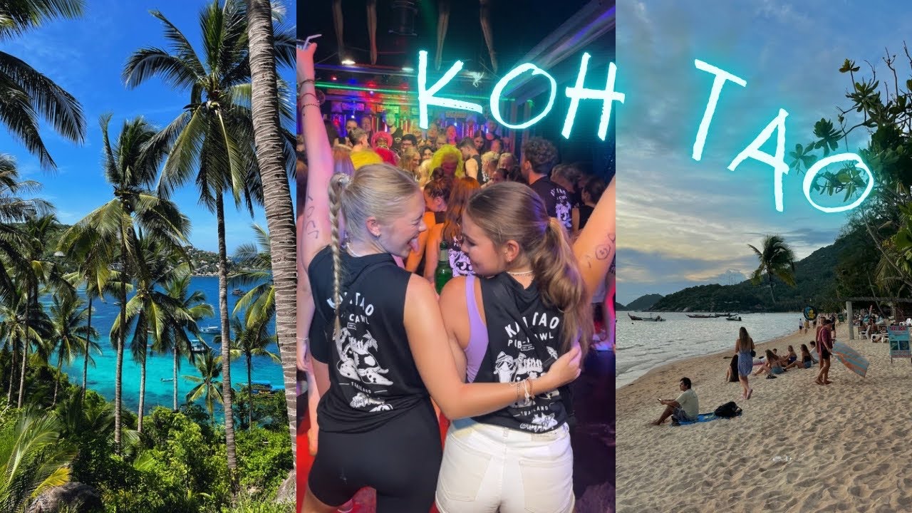 Everyone’s FAVOURITE Thai island 🦈 Koh Tao VLOG