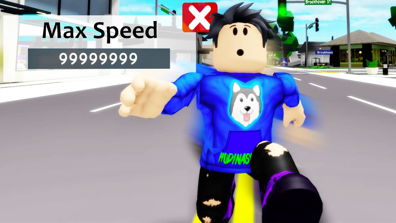 Testez 30 de MITURI NEBUNE cu ROBLOX BROOKHAVEN!