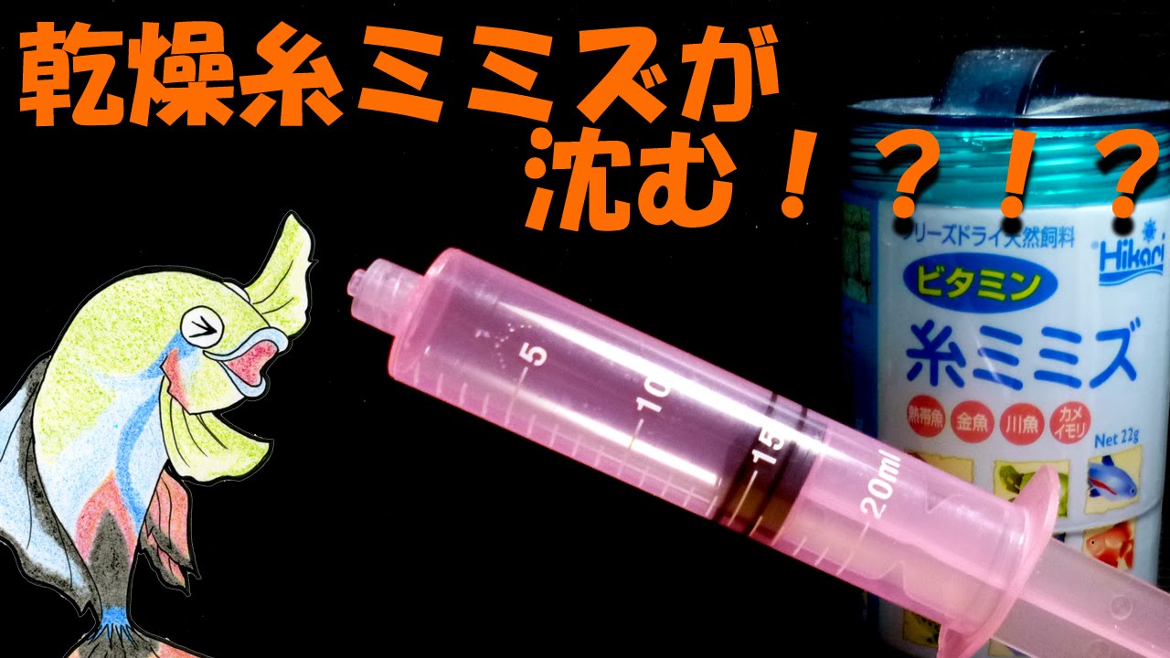 乾燥糸ミミズをバラバラに沈める！！【大分グッピーファンクラブ】