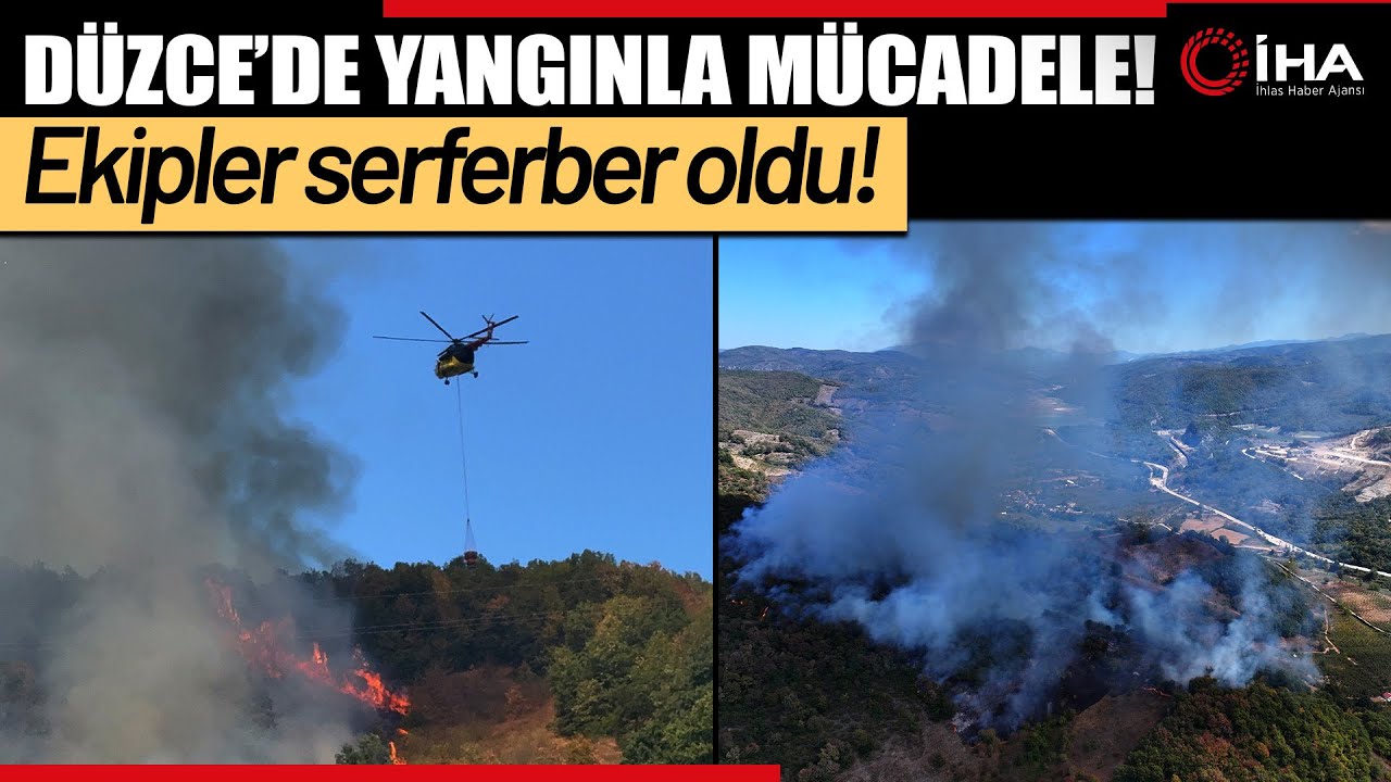 Düzce’de Otluk Alanda Başlayan Yangın Ormana Sıçradı