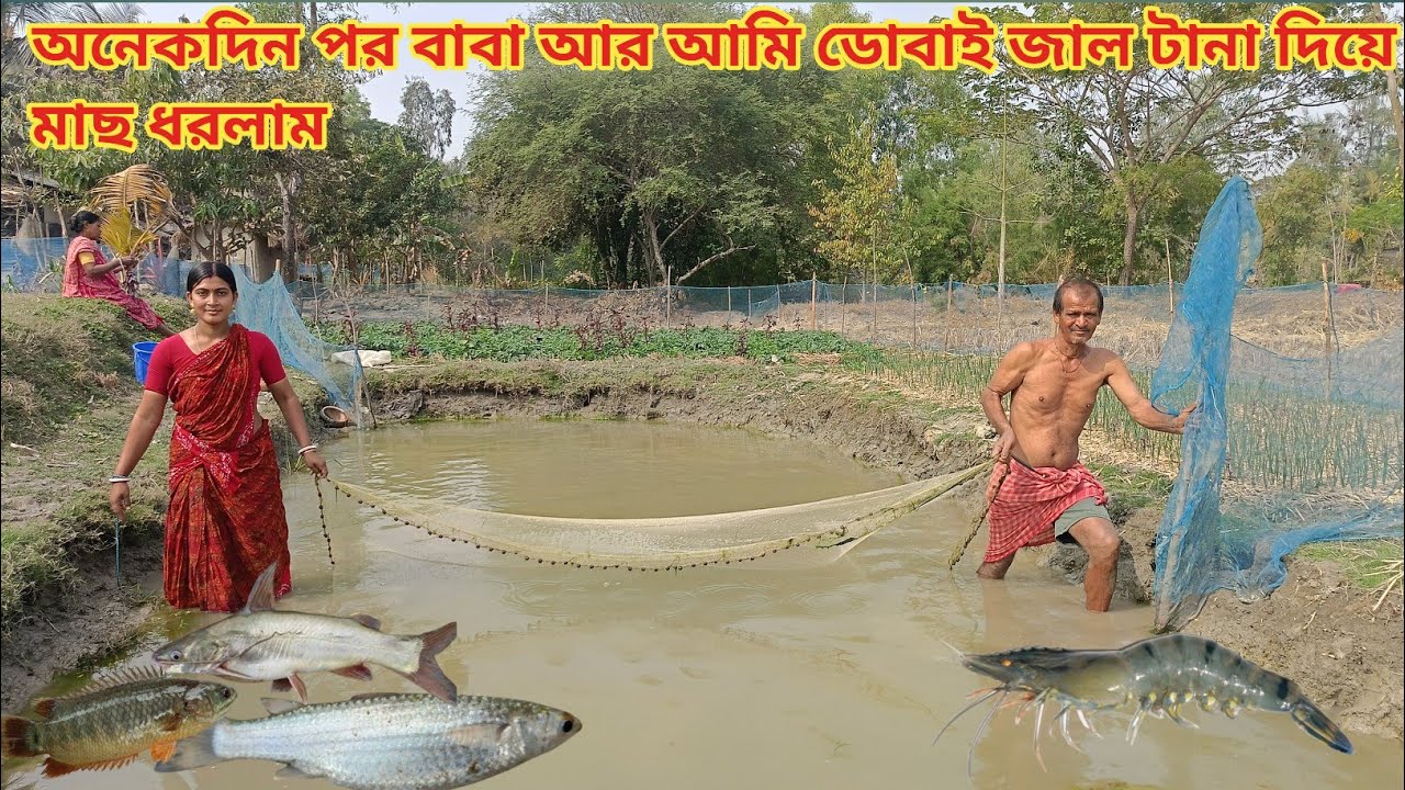 ছোট্ট ডোবাই বাবা আর আমি জাল টানা দিয়ে অনেক মাছ ধরলাম || Nandita Sundarban life 