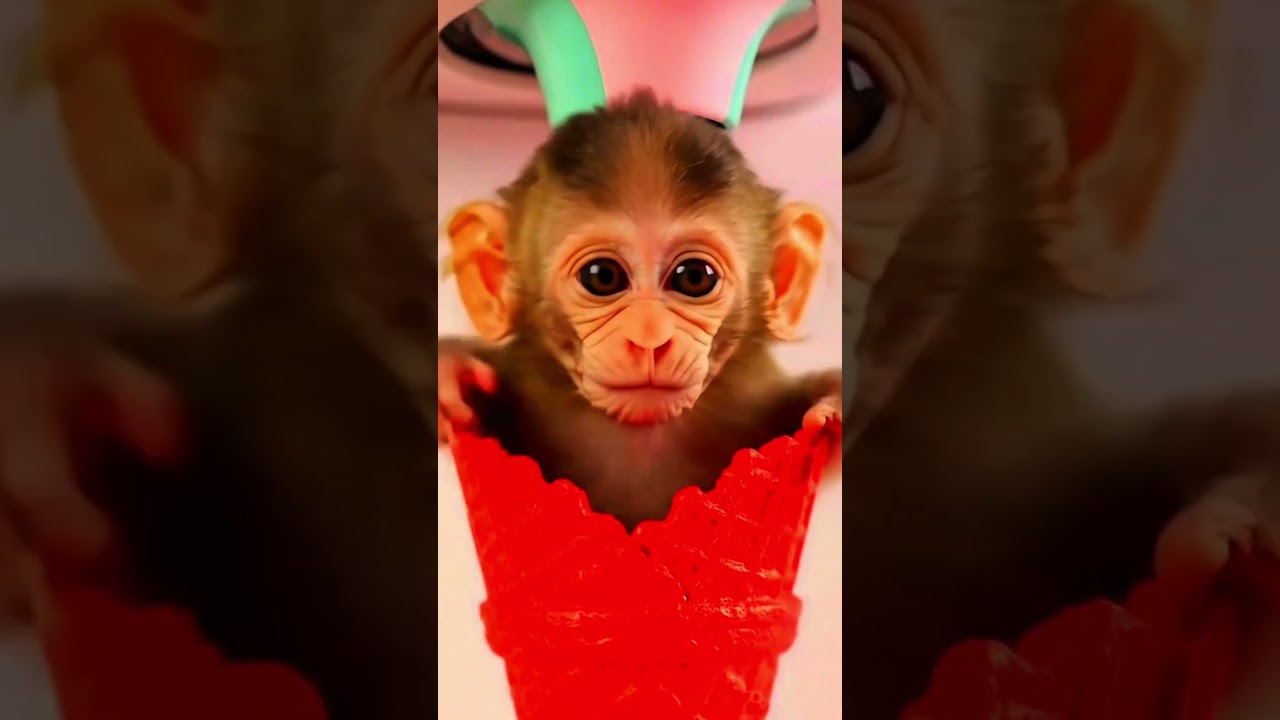 Safari Animal Sounds Song | Nursery Rhyme for Kids - Learn Animal Names and Sounds. #shorts