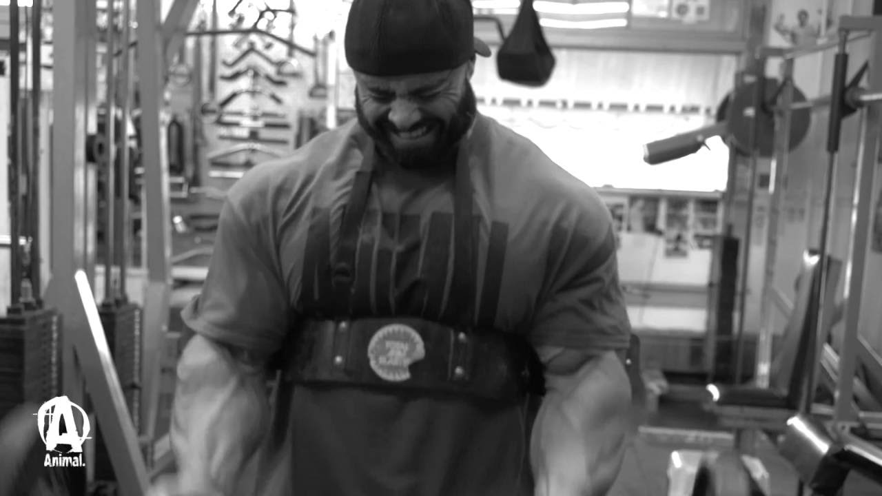 ANIMAL WHEY 