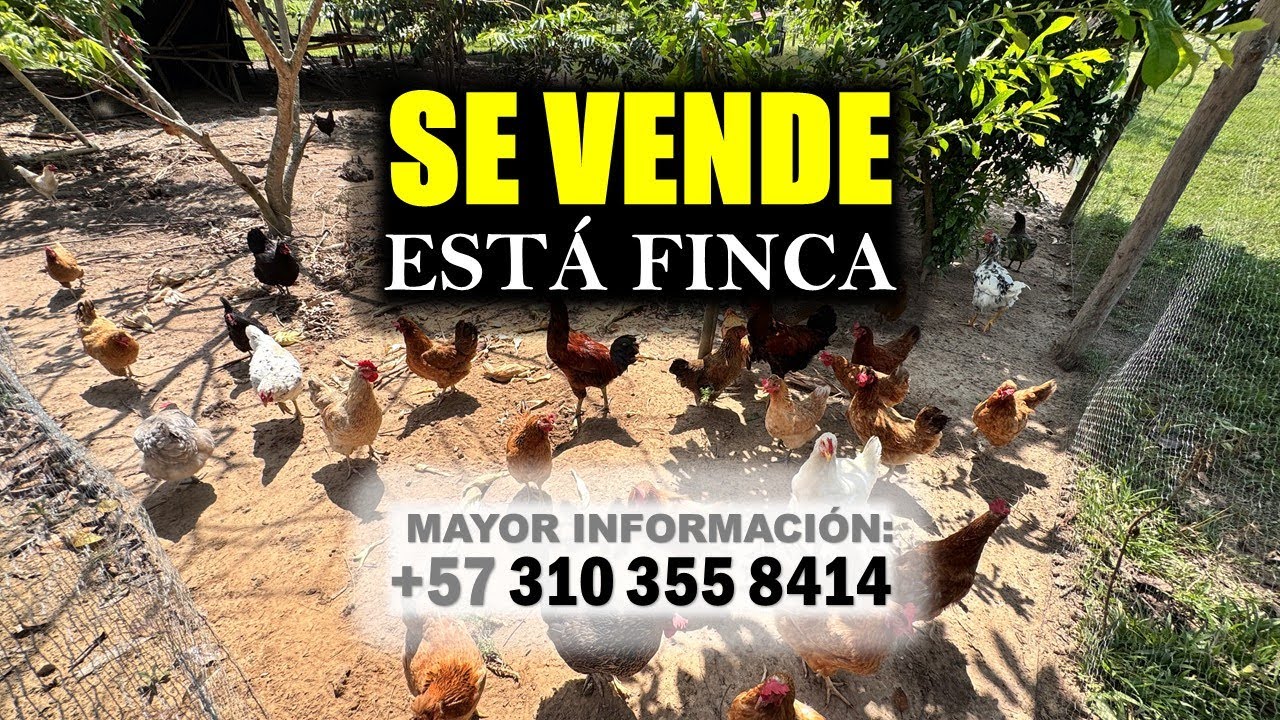🔥SE VENDE🍃ESTÁ BONITA FINCA🍃INFO: (+57) 310 355 8414🔥