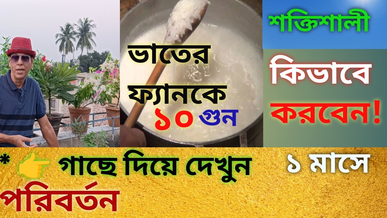 ভাতের ফ্যানকে শক্তিশালী করে গাছে ব্যবহার।Use on plants to strengthen the rice fan.