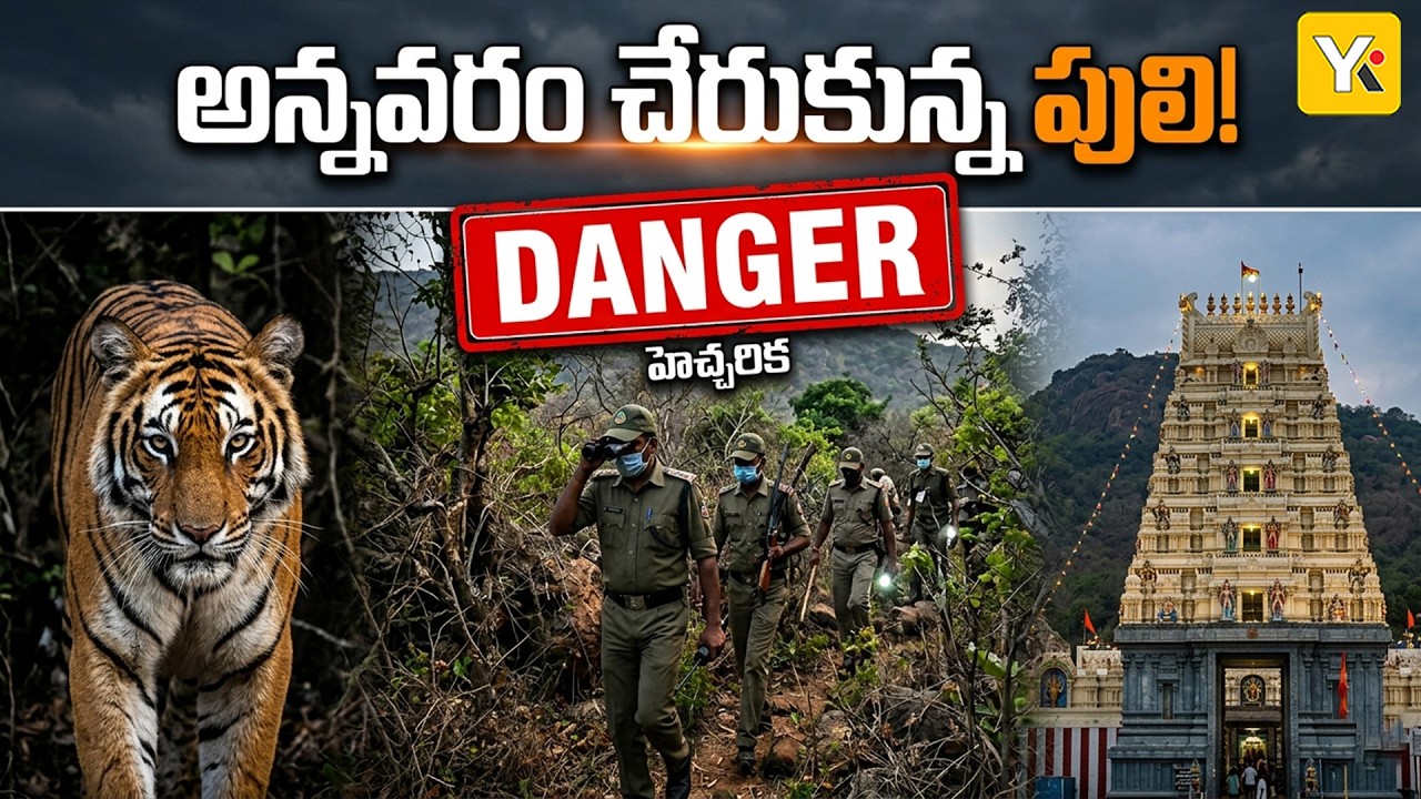 అన్నవరం సత్యదేవుని కొండ కింద పెద్దపులి..! | భక్తులకు హై అలర్ట్ | Kakinada District Tiger Updates