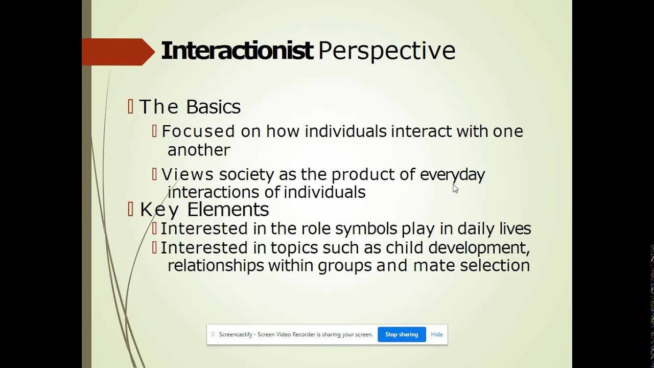 Interactionist Perspective