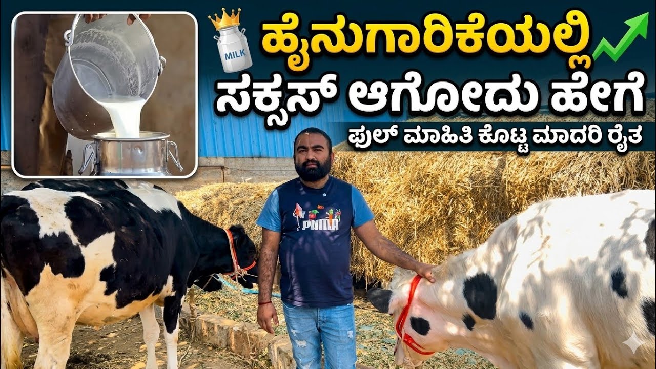 ಹೈನುಗಾರಿಕೆಯಲ್ಲಿ ಸಕ್ಸಸ್ ಆಗೋದು ಹೇಗೆ•? ಮಾಹಿತಿ ಕೊಟ್ಟ ಮಾದರಿ ರೈತ ।How to become success in diary farming