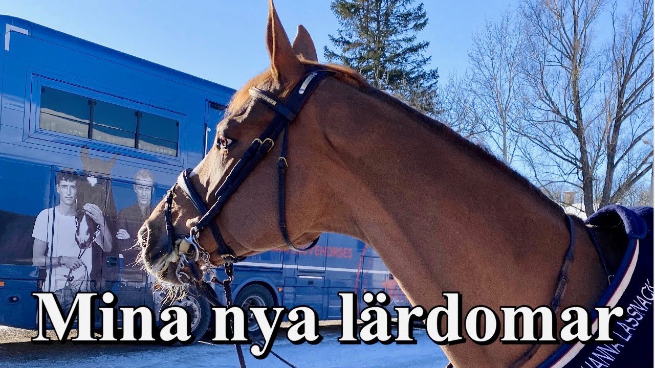 STALLVLOGG - ridning är allt annat än enkelt