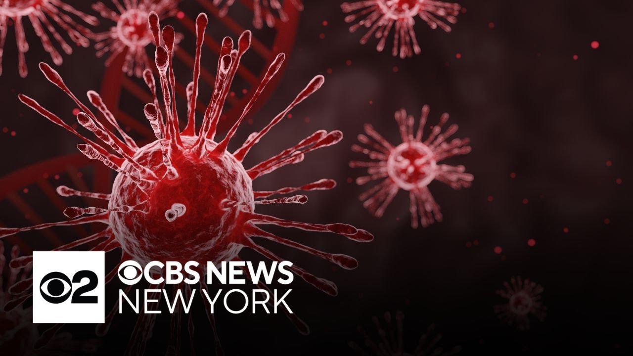 NYC Health Department to give regular flu briefings amid spike in cases