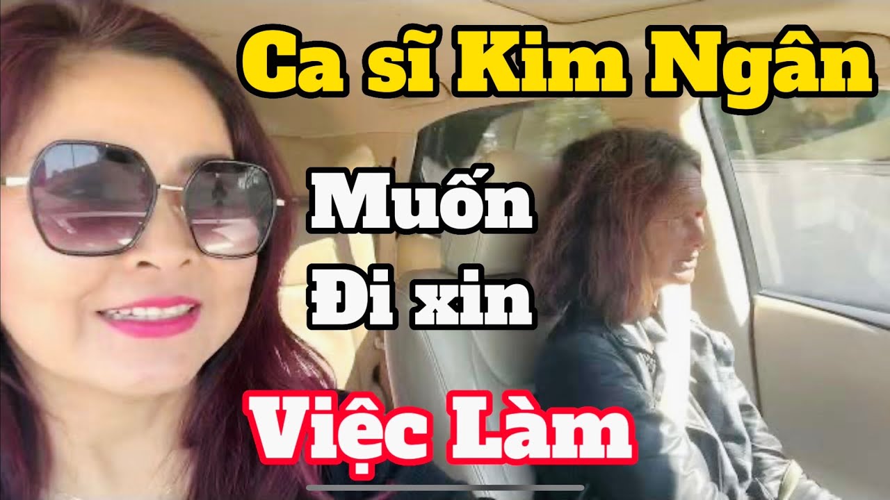 Ca sĩ Kim Ngân muốn đi xin việc làm.
