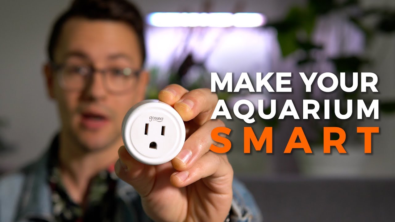 How to Make Your Aquarium Voice-Activated