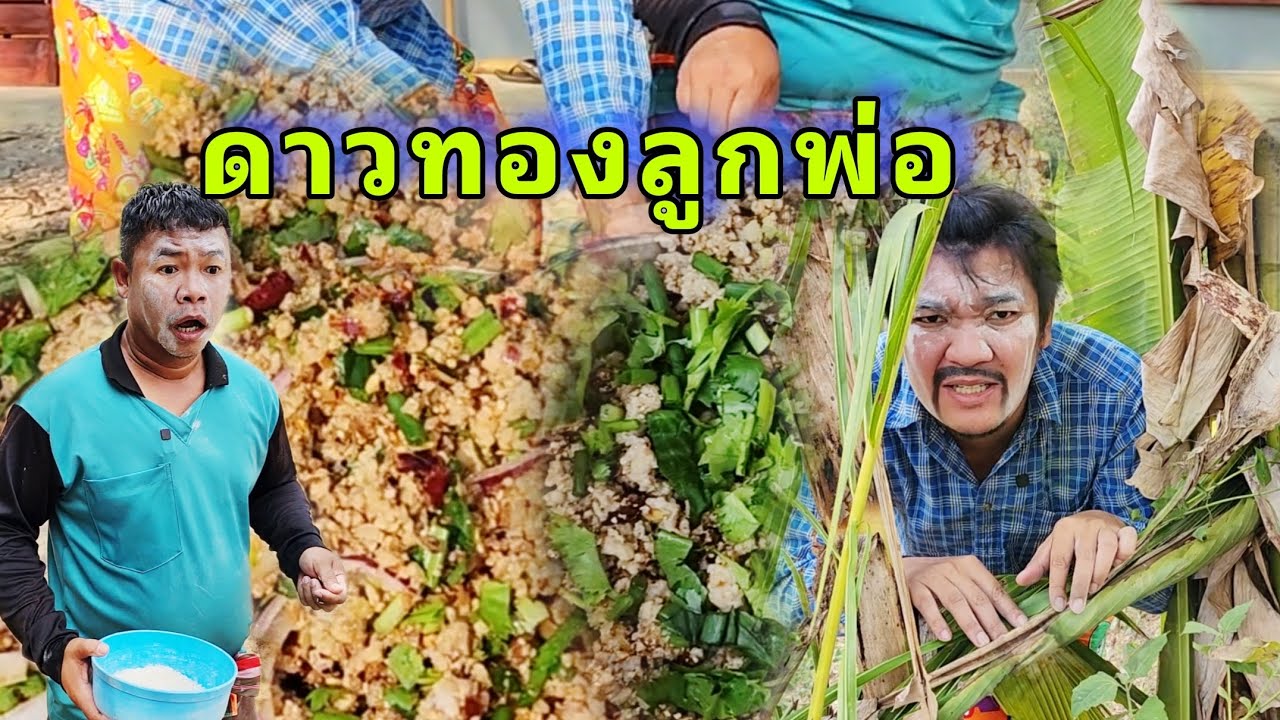 เลี้ยง ดาวทองลูกพ่อ