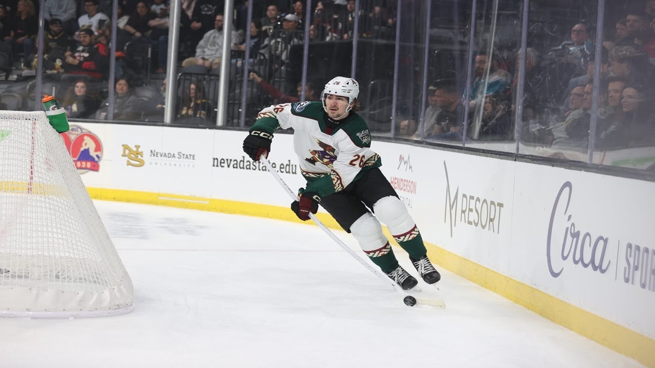 Tucson Roadrunners Mid Season Report