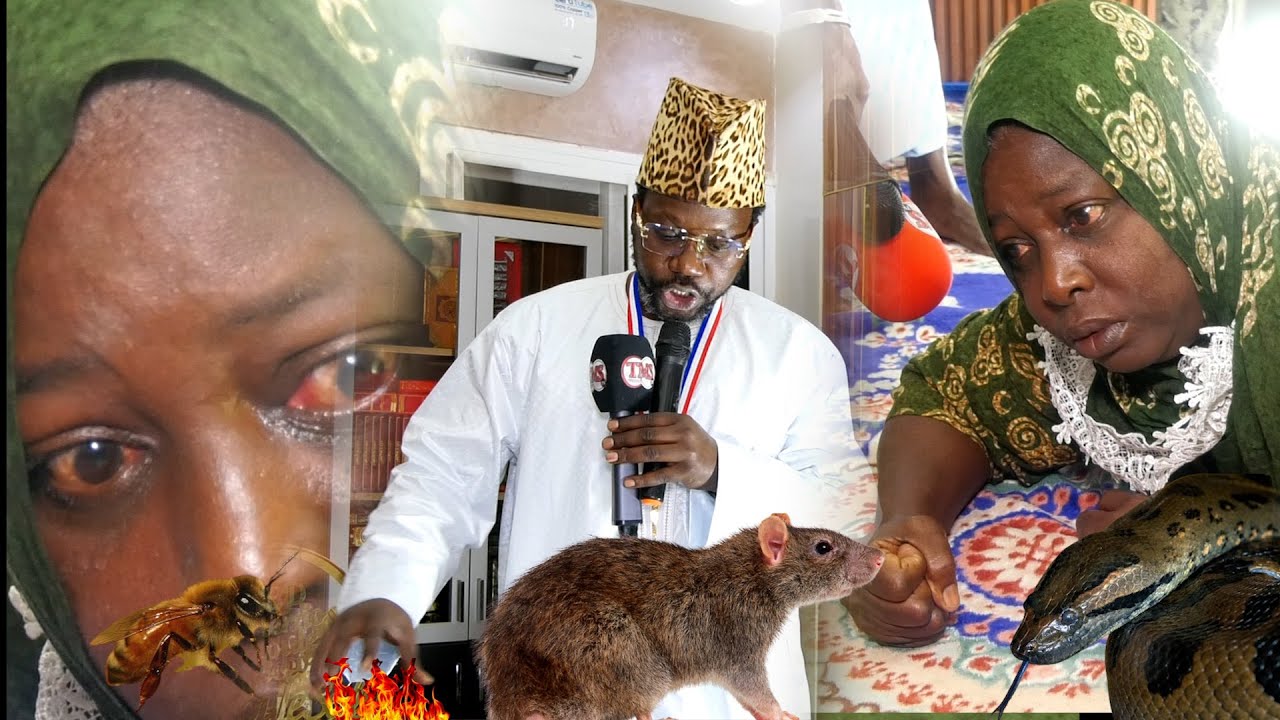 Thiey le khalifa général des djinn djinn bi nénako diokhma ma signé...