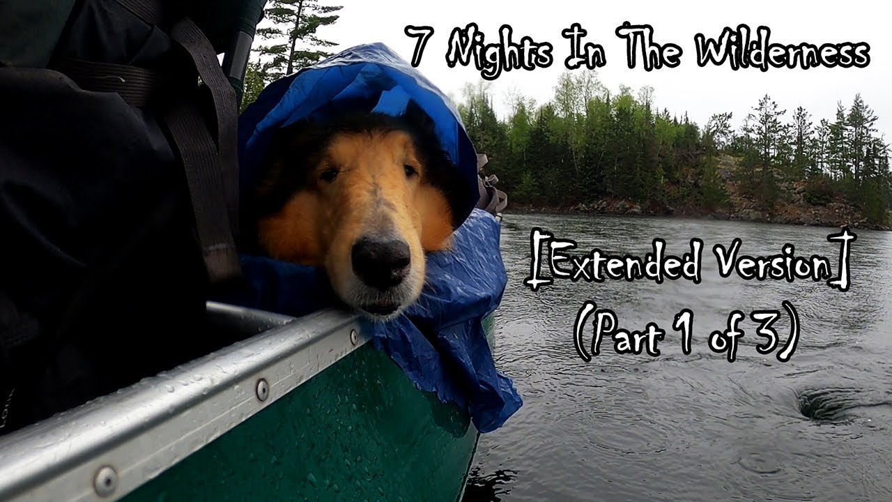 7 Night Wilderness Camping Adventure With My Dog [EXTENDED VERSION] (Part 1 of 3)